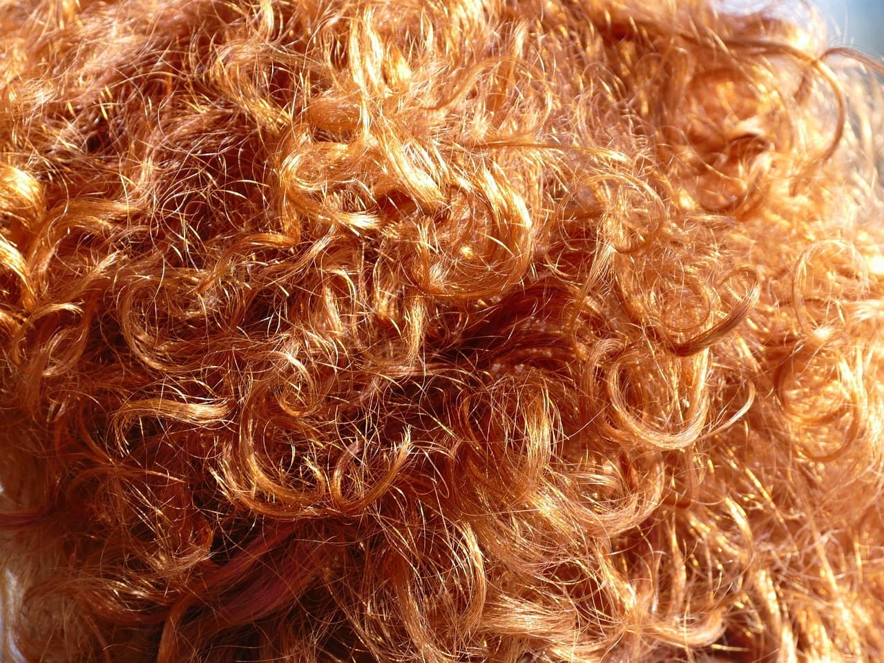 Close-up of copper curls catching the light